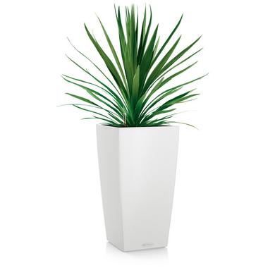 CUBICO Color 22 white